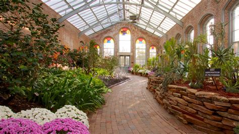 st louis, mo craigslist farm and garden|Farm & Garden .